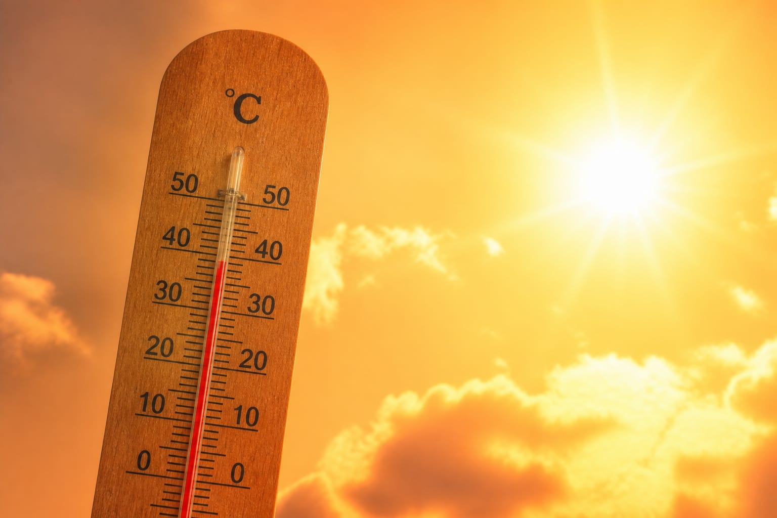 Canicula poate pune presiune pe inimă și a dus la o creștere de peste 50% a deceselor legate de căldură