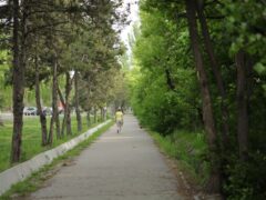 Oamenii care petrec mai mult timp în natură ar putea avea o relație mai sănătoasă cu mâncarea