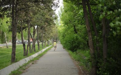 Oamenii care petrec mai mult timp în natură ar putea avea o relație mai sănătoasă cu mâncarea