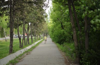 Oamenii care petrec mai mult timp în natură ar putea avea o relație mai sănătoasă cu mâncarea
