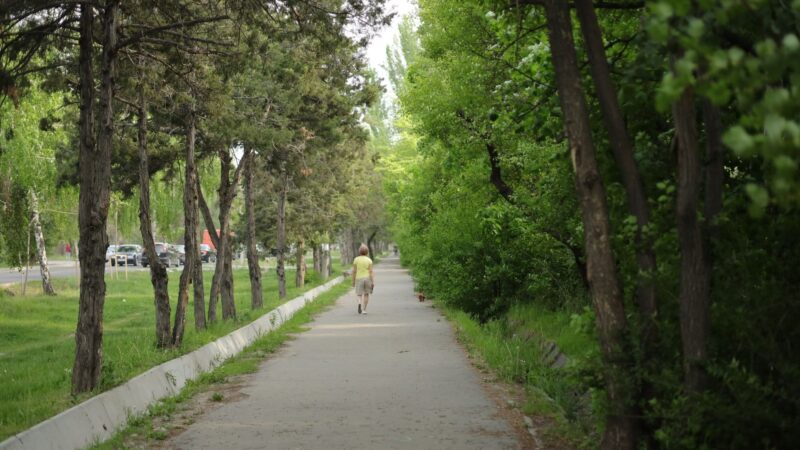 Oamenii care petrec mai mult timp în natură ar putea avea o relație mai sănătoasă cu mâncarea