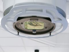 Cum se leagă etnia de cancerul mamar și de dificultatea depistării la femeile cu sâni denși