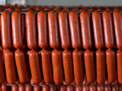 În Singapore, nitriții au fost găsiți în trei din nouă produse vândute ca fiind fără acest aditiv